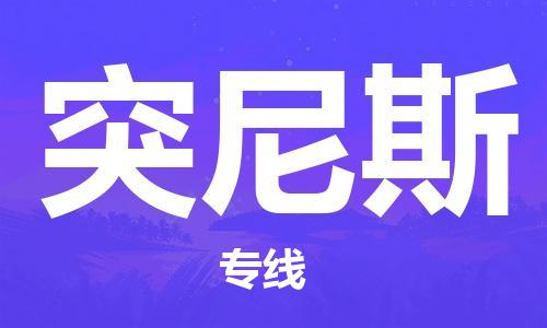 中山到突尼斯国际海运物流专线-中山至突尼斯货运高品质的服务-货代公司